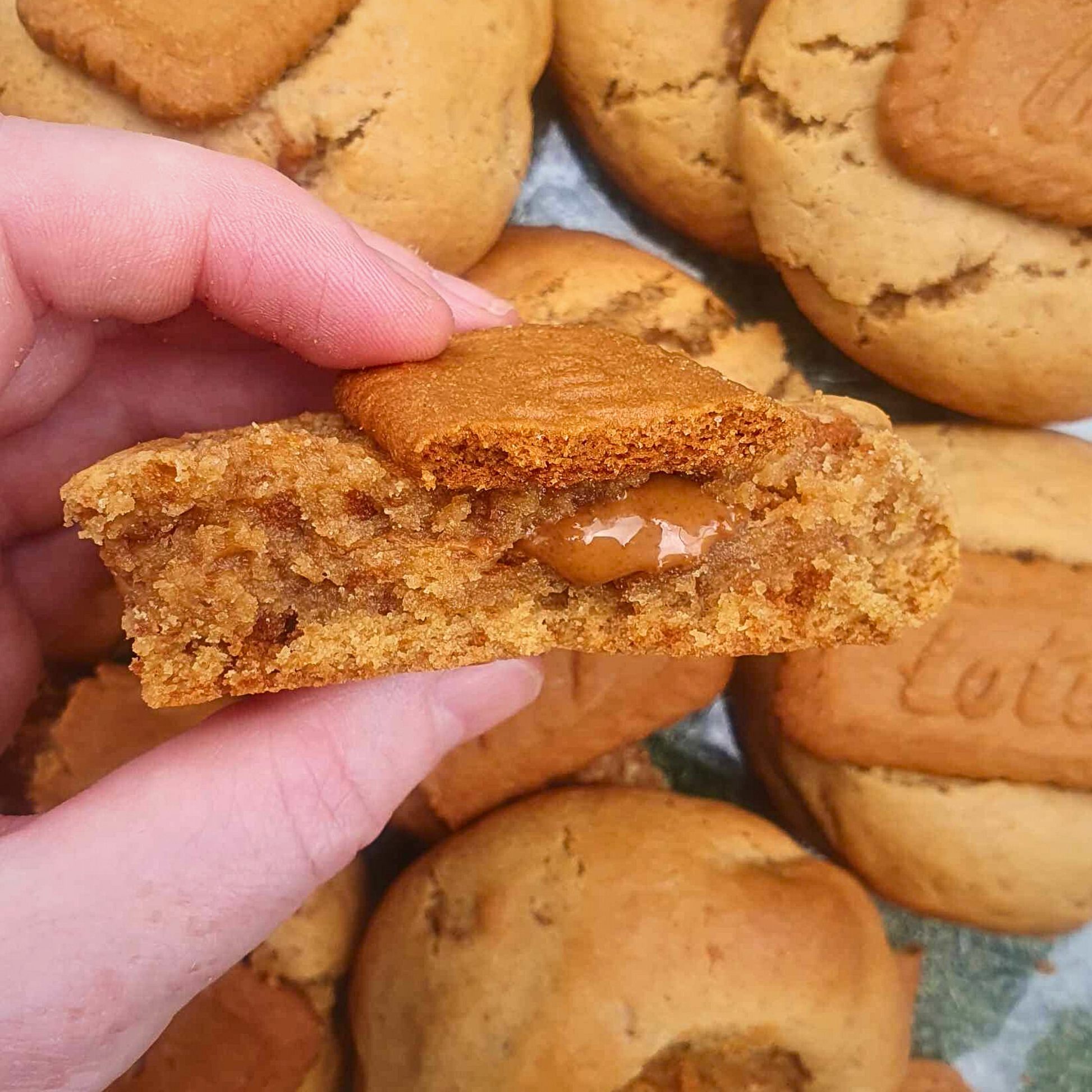 NYC Inspired Biscoff Cookies | 8 Pack | Amberleighs Designs | Adelaide South Australia